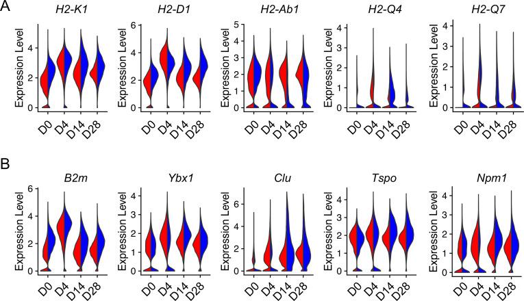 https://cdn.ncbi.nlm.nih.gov/pmc/blobs/4778/10292844/4bc6ce642a6f/elife-85415-fig5.jpg