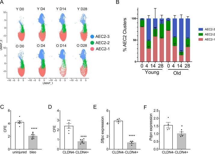 https://cdn.ncbi.nlm.nih.gov/pmc/blobs/4778/10292844/9c07c26ffbdb/elife-85415-fig3.jpg