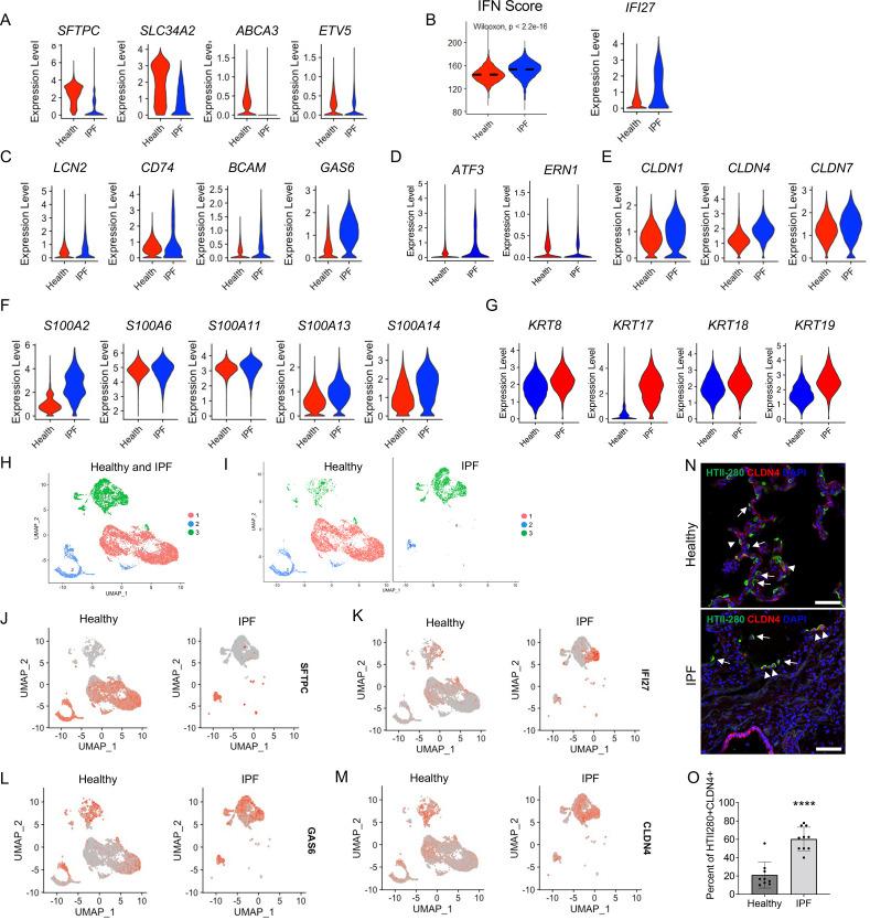https://cdn.ncbi.nlm.nih.gov/pmc/blobs/4778/10292844/a57e613fb019/elife-85415-fig7.jpg