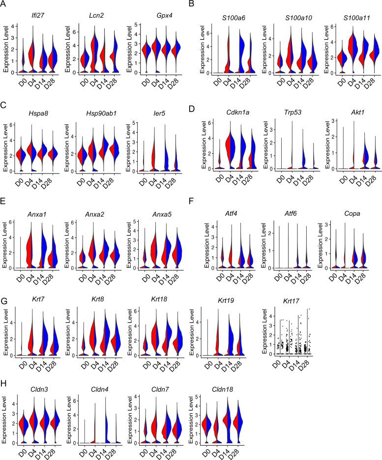 https://cdn.ncbi.nlm.nih.gov/pmc/blobs/4778/10292844/f544bae70b56/elife-85415-fig4.jpg