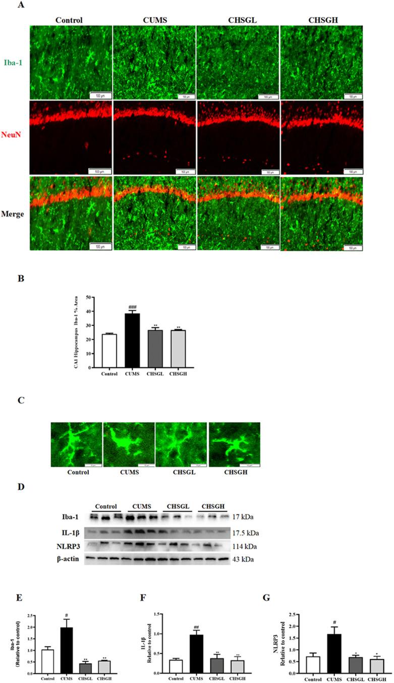 https://cdn.ncbi.nlm.nih.gov/pmc/blobs/4778/11648556/88519ff84128/DDDT-18-5997-g0006.jpg