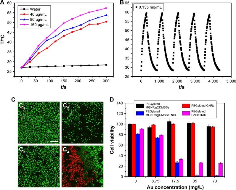 https://cdn.ncbi.nlm.nih.gov/pmc/blobs/4778/6396883/161606f9b417/ijn-14-1519Fig4.jpg