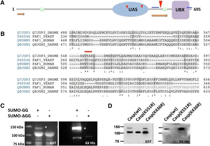 https://cdn.ncbi.nlm.nih.gov/pmc/blobs/4779/4592996/47785896e74b/2137f5.jpg