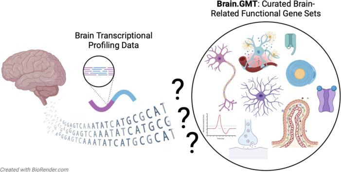 https://cdn.ncbi.nlm.nih.gov/pmc/blobs/477a/11267058/ac56e1c1458e/ga1.jpg