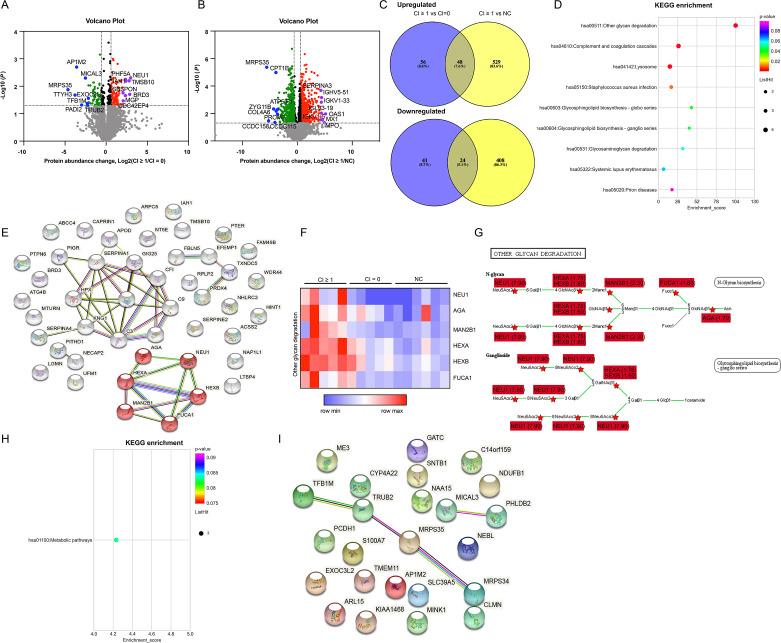 https://cdn.ncbi.nlm.nih.gov/pmc/blobs/477a/8650488/19f0b2e37553/lupus-2021-000569f01.jpg