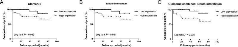 https://cdn.ncbi.nlm.nih.gov/pmc/blobs/477a/8650488/6522a1a2828c/lupus-2021-000569f03.jpg