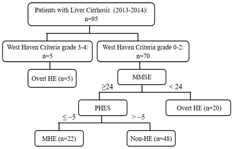 https://cdn.ncbi.nlm.nih.gov/pmc/blobs/477a/9914222/3fa5b412f41b/diagnostics-13-00333-g001.jpg