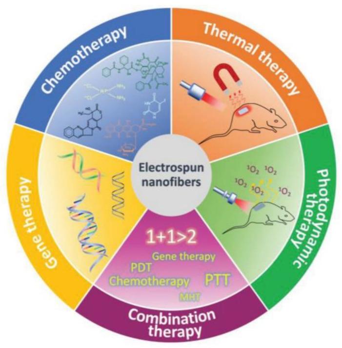 https://cdn.ncbi.nlm.nih.gov/pmc/blobs/477c/10302184/220da57ba5dc/pharmaceutics-15-01649-g005.jpg