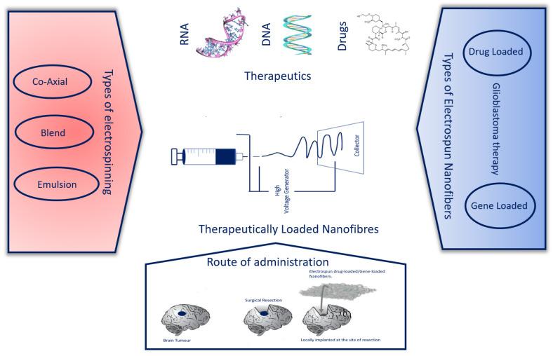 https://cdn.ncbi.nlm.nih.gov/pmc/blobs/477c/10302184/47b4ed057390/pharmaceutics-15-01649-g002.jpg