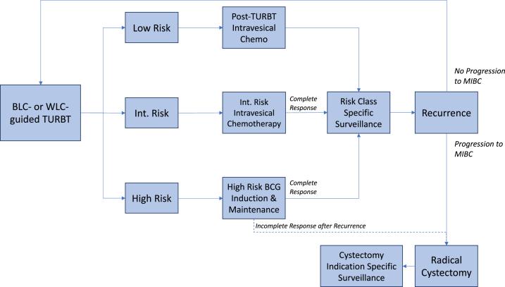 https://cdn.ncbi.nlm.nih.gov/pmc/blobs/477c/11181828/8689881e389a/blc-9-blc220027-g001.jpg