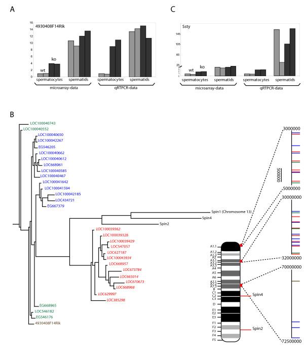 https://cdn.ncbi.nlm.nih.gov/pmc/blobs/477c/3091626/d10a5b5cae97/1471-2164-11-367-3.jpg