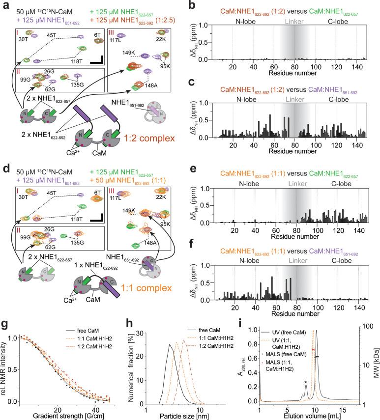 https://cdn.ncbi.nlm.nih.gov/pmc/blobs/477c/8009664/b61cb95ec50e/elife-60889-fig3.jpg