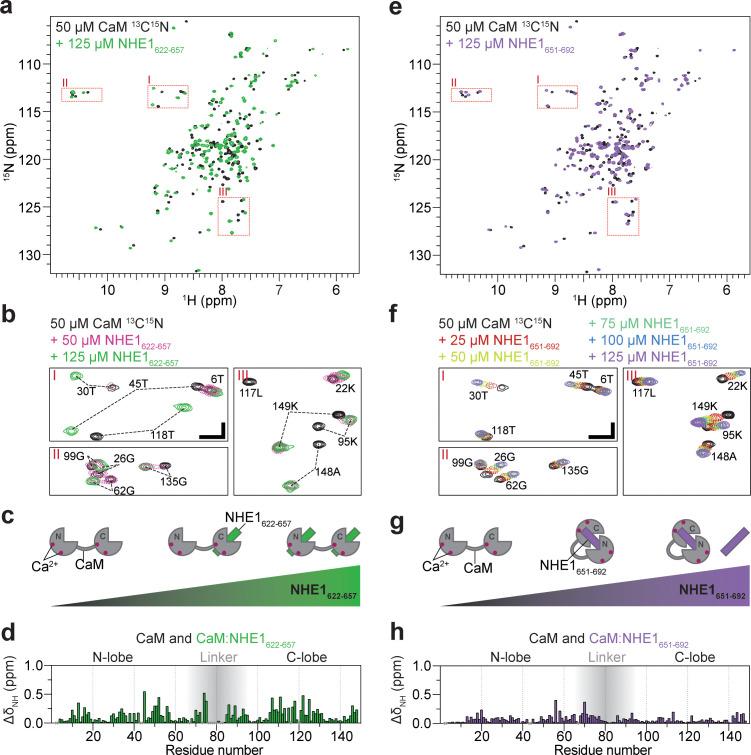 https://cdn.ncbi.nlm.nih.gov/pmc/blobs/477c/8009664/bef0b73351db/elife-60889-fig2.jpg