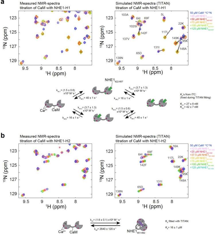 https://cdn.ncbi.nlm.nih.gov/pmc/blobs/477c/8009664/e2b9293aaa93/elife-60889-fig2-figsupp1.jpg