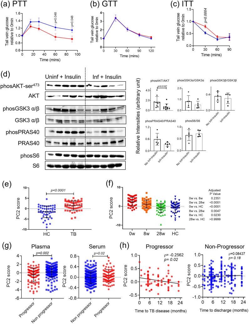 https://cdn.ncbi.nlm.nih.gov/pmc/blobs/477d/11463835/f763b8fd3f89/ppat.1012565.g005.jpg