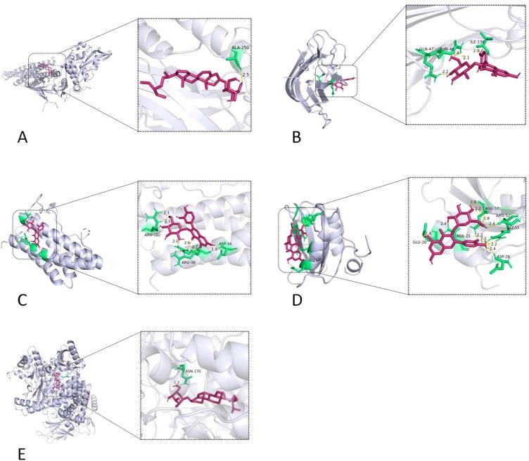 https://cdn.ncbi.nlm.nih.gov/pmc/blobs/477d/12282606/e7d5b18f22c0/DDDT-19-6145-g0006.jpg