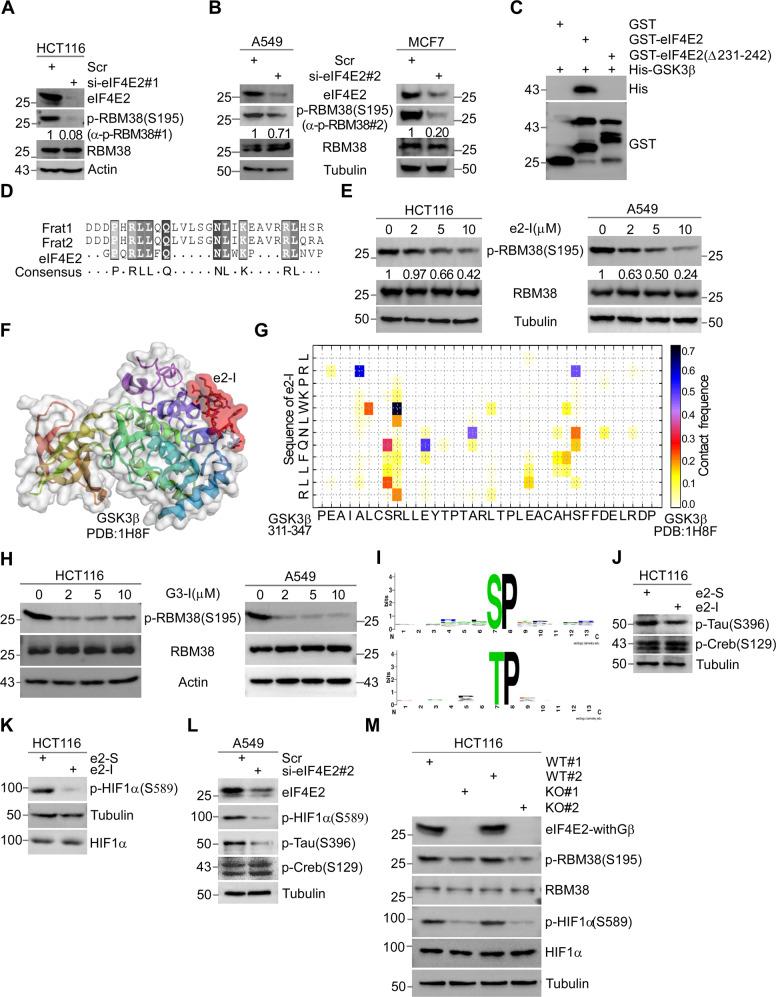 https://cdn.ncbi.nlm.nih.gov/pmc/blobs/477d/9107480/6108711893f9/41419_2022_4897_Fig1_HTML.jpg