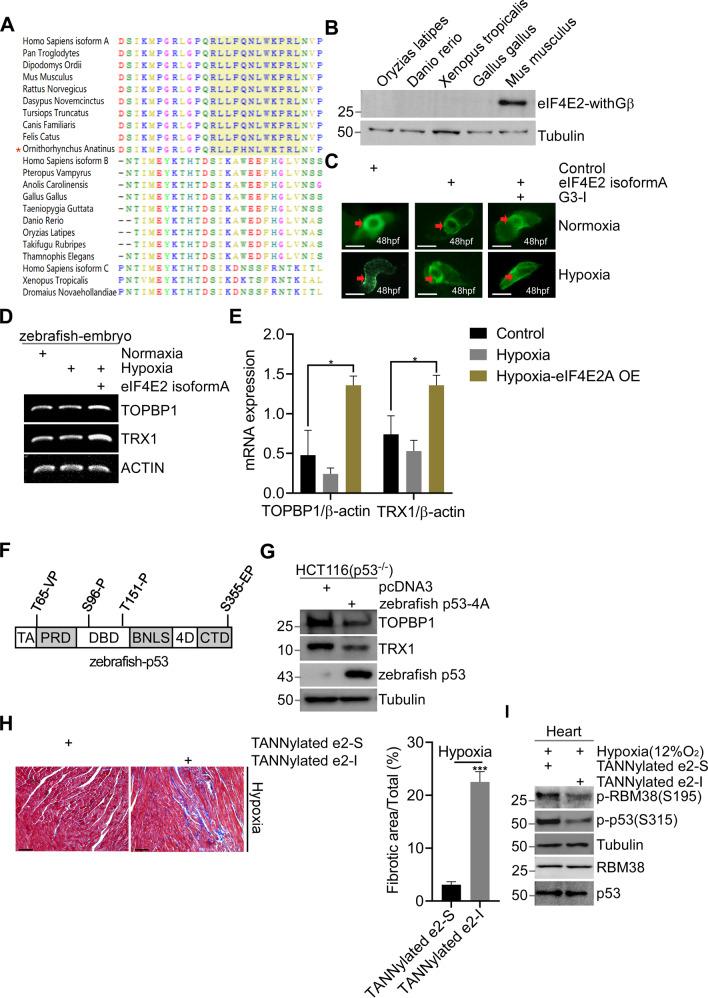 https://cdn.ncbi.nlm.nih.gov/pmc/blobs/477d/9107480/c3d97ed97451/41419_2022_4897_Fig6_HTML.jpg