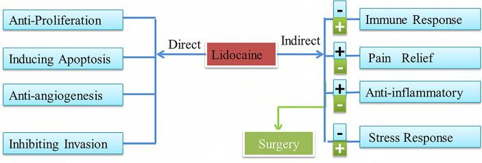 https://cdn.ncbi.nlm.nih.gov/pmc/blobs/477e/8264592/60226c1b1fc2/fonc-11-669746-g001.jpg