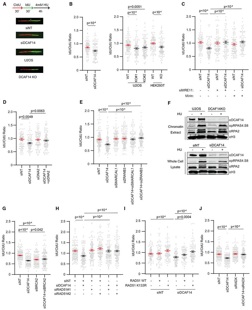 https://cdn.ncbi.nlm.nih.gov/pmc/blobs/4782/7941590/1496ecde266b/nihms-1667149-f0004.jpg