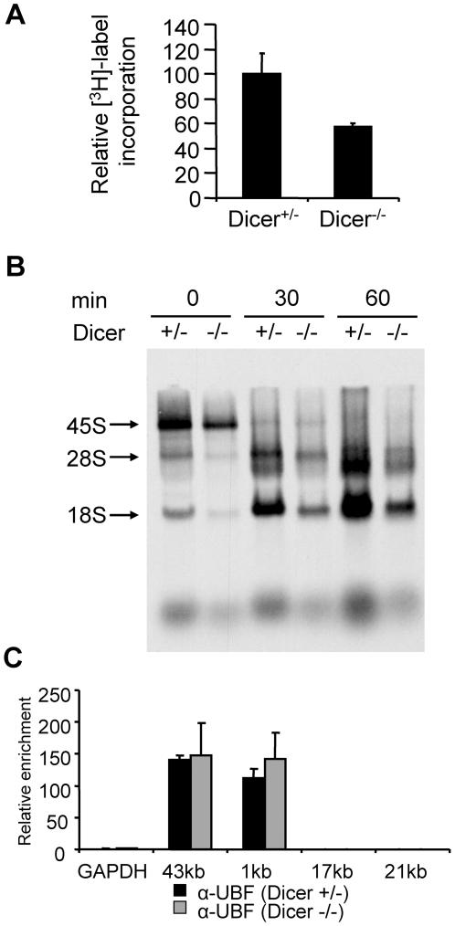 https://cdn.ncbi.nlm.nih.gov/pmc/blobs/4784/2921364/1080437c9655/pone.0012175.g005.jpg