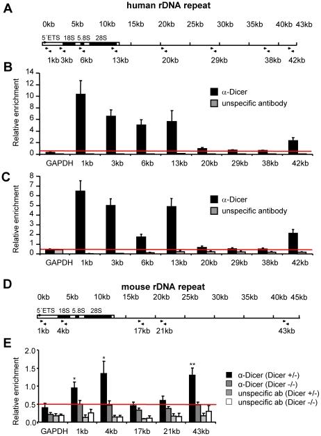 https://cdn.ncbi.nlm.nih.gov/pmc/blobs/4784/2921364/f5d1ca8eef49/pone.0012175.g003.jpg