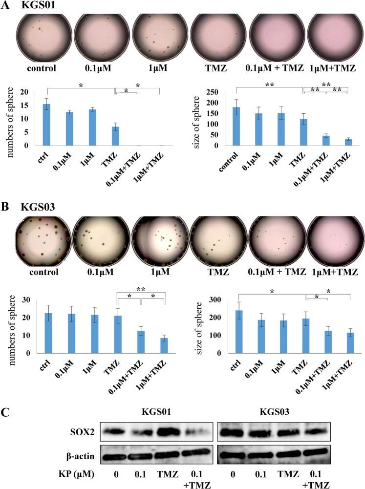 https://cdn.ncbi.nlm.nih.gov/pmc/blobs/4785/6624278/67cf96af1543/41598_2019_46454_Fig3_HTML.jpg