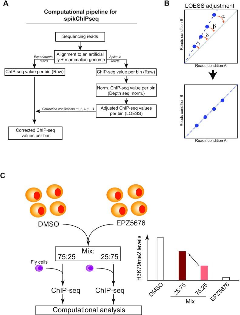 https://cdn.ncbi.nlm.nih.gov/pmc/blobs/4785/8315120/237857c2017e/lqab064fig1.jpg