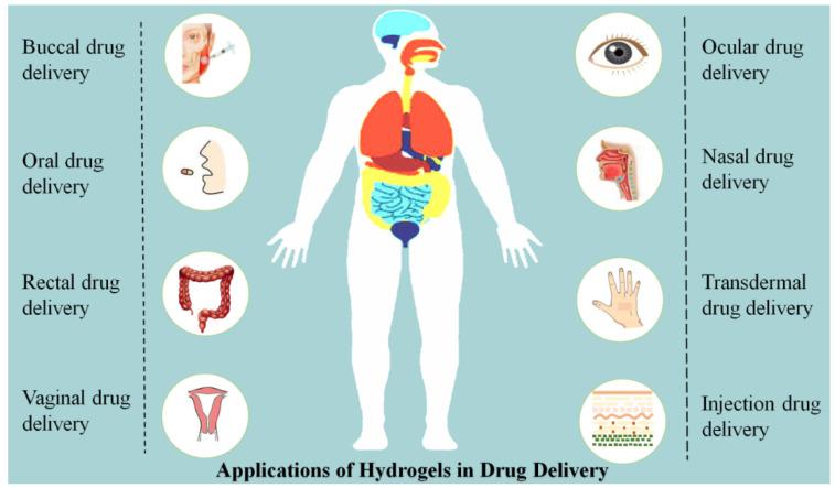 https://cdn.ncbi.nlm.nih.gov/pmc/blobs/4785/9024659/81d407f1aa61/gels-08-00205-g003.jpg