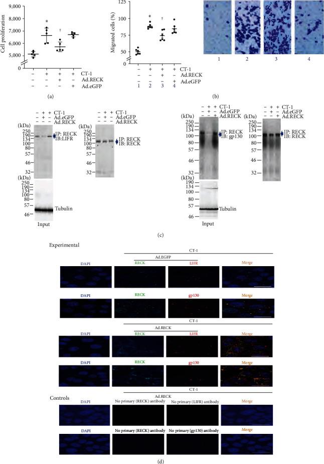 https://cdn.ncbi.nlm.nih.gov/pmc/blobs/4789/10567511/33f41f92bc69/MI2023-6112301.005.jpg