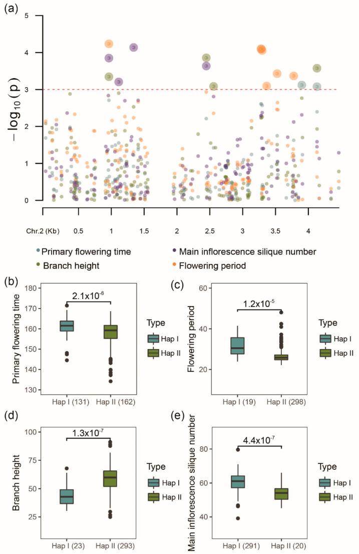 https://cdn.ncbi.nlm.nih.gov/pmc/blobs/478a/9181464/b2d6cc8fb6b1/ijms-23-06265-g009.jpg