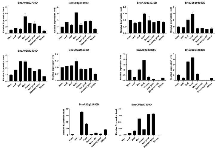 https://cdn.ncbi.nlm.nih.gov/pmc/blobs/478a/9181464/d56396082b8a/ijms-23-06265-g007.jpg