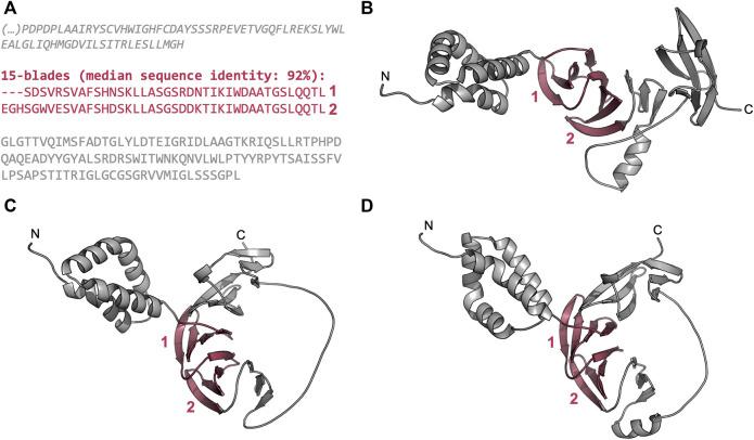 https://cdn.ncbi.nlm.nih.gov/pmc/blobs/478b/9218822/30ba5abfde9d/fmolb-09-895496-g007.jpg