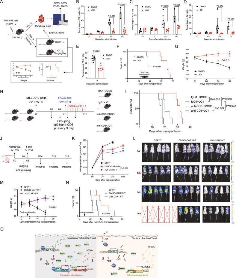 https://cdn.ncbi.nlm.nih.gov/pmc/blobs/478d/9346138/1fc207762898/41419_2022_5123_Fig7_HTML.jpg