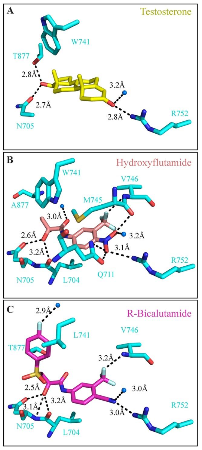 https://cdn.ncbi.nlm.nih.gov/pmc/blobs/4790/3709796/9760b6bee716/ijms-14-12496f4.jpg
