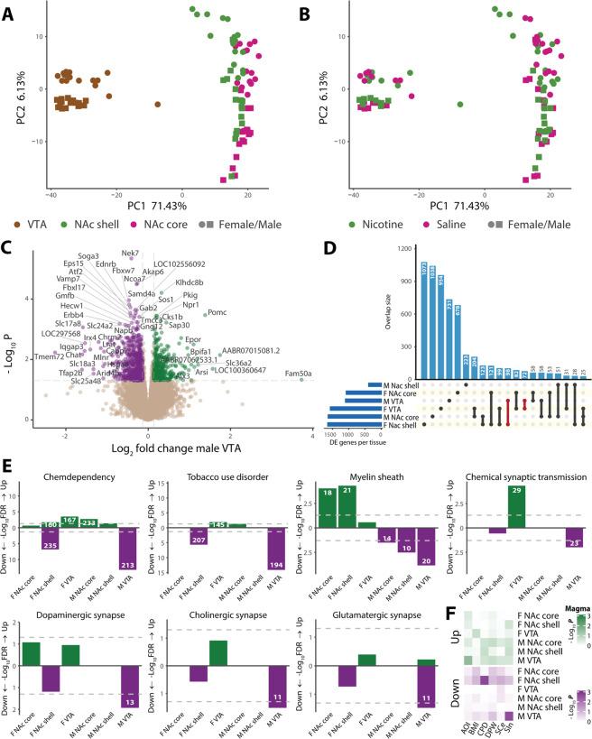 https://cdn.ncbi.nlm.nih.gov/pmc/blobs/4791/8358005/40a7396d84ff/41386_2021_1027_Fig2_HTML.jpg