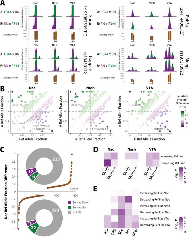https://cdn.ncbi.nlm.nih.gov/pmc/blobs/4791/8358005/5885fd073fd3/41386_2021_1027_Fig5_HTML.jpg