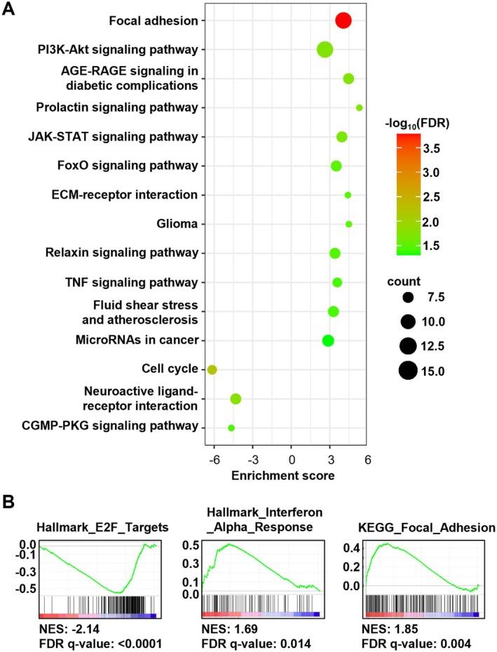 https://cdn.ncbi.nlm.nih.gov/pmc/blobs/4792/12073902/6fa289148409/ACEL-24-e14472-g004.jpg