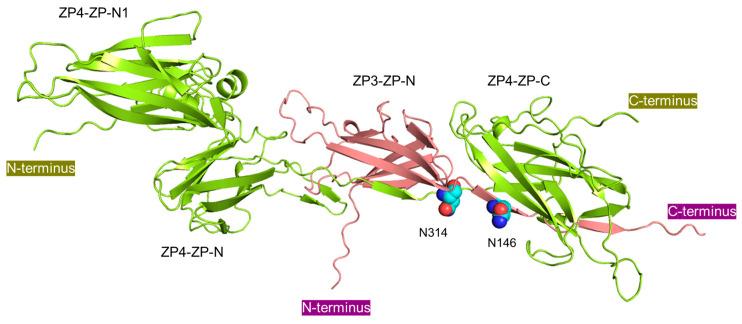 https://cdn.ncbi.nlm.nih.gov/pmc/blobs/4793/10669178/a78d616a4b18/biomolecules-13-01636-g005.jpg