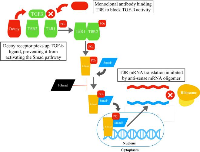 https://cdn.ncbi.nlm.nih.gov/pmc/blobs/4793/11201862/b987af2c07d2/12967_2024_5411_Fig2_HTML.jpg