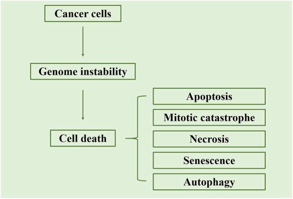 https://cdn.ncbi.nlm.nih.gov/pmc/blobs/4793/11252536/4c4eed43f3d7/fphar-15-1394816-g004.jpg