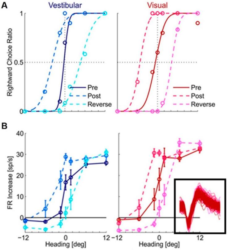 https://cdn.ncbi.nlm.nih.gov/pmc/blobs/4798/10669852/1d17f4a3f33b/brainsci-13-01504-g002.jpg