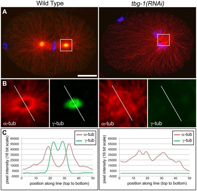 https://cdn.ncbi.nlm.nih.gov/pmc/blobs/4799/3254605/83af75d9246b/pone.0029795.g001.jpg
