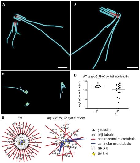https://cdn.ncbi.nlm.nih.gov/pmc/blobs/4799/3254605/cc16d8a2fb1a/pone.0029795.g006.jpg