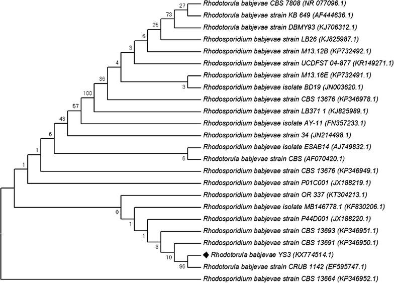 https://cdn.ncbi.nlm.nih.gov/pmc/blobs/479c/5450096/5017a3a2cbb9/12934_2017_711_Fig1_HTML.jpg
