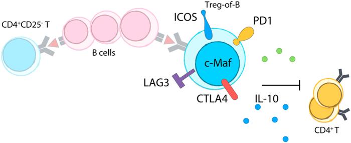 https://cdn.ncbi.nlm.nih.gov/pmc/blobs/479f/5389357/498bca7b3243/srep46348-f6.jpg