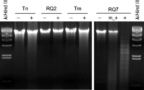 https://cdn.ncbi.nlm.nih.gov/pmc/blobs/479f/5637354/c8c83cf7daf4/40793_2017_271_Fig8_HTML.jpg