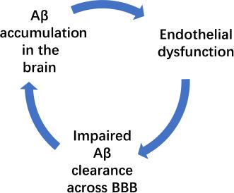 https://cdn.ncbi.nlm.nih.gov/pmc/blobs/479f/9120708/55a7d913e69a/NRR-17-2355-g001.jpg