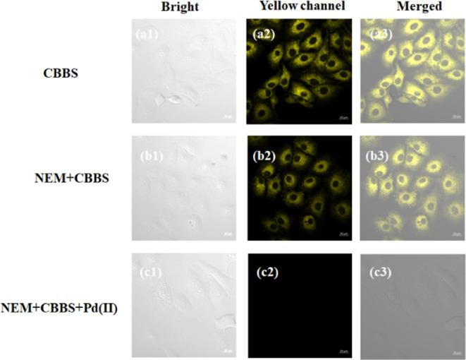 https://cdn.ncbi.nlm.nih.gov/pmc/blobs/47a1/10536022/3577f3e18c02/ao3c04626_0009.jpg
