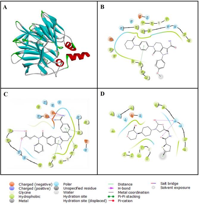 https://cdn.ncbi.nlm.nih.gov/pmc/blobs/47a2/11342603/4f4d8969a1f9/40360_2024_785_Fig1_HTML.jpg